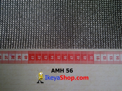 AMH 56  large2